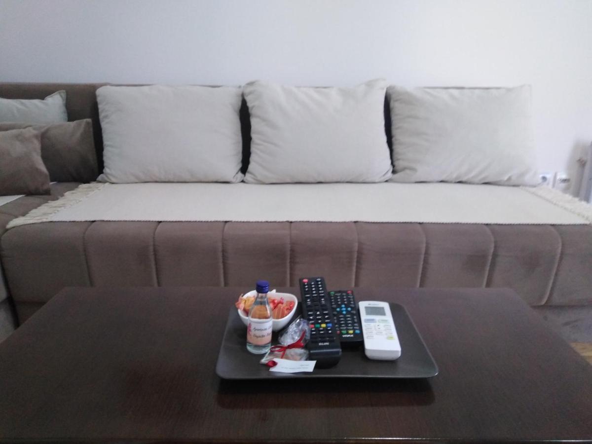 Apartment Laca Vrnjačka Banja Dış mekan fotoğraf
